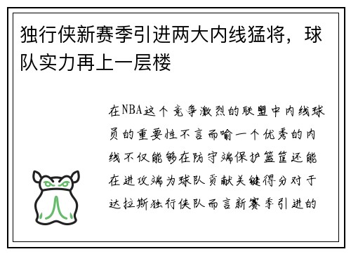 独行侠新赛季引进两大内线猛将，球队实力再上一层楼